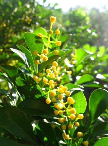 耐酸磚，盲道磚，陶瓷透水磚源頭生產(chǎn)廠家到底適不適合參加展會